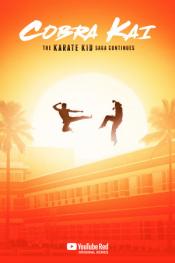 Cobra Kai http://185.134.178.250/tv?year=2018