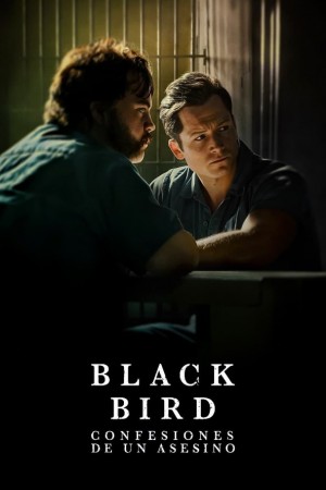 black bird http://185.134.178.250/tv?year=2022