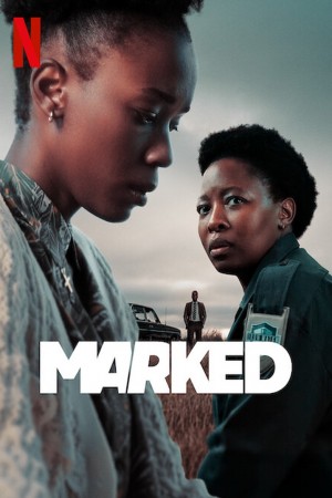 Marked http://185.134.178.250/tv?year=2025